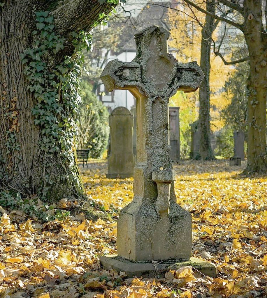 Jardines Monumentales Carrizales, C.A.